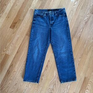 Banana Republic High Rise Straight Premium Denim Jeans